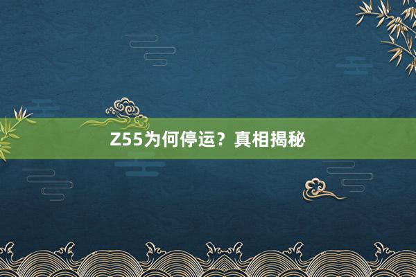 Z55为何停运？真相揭秘