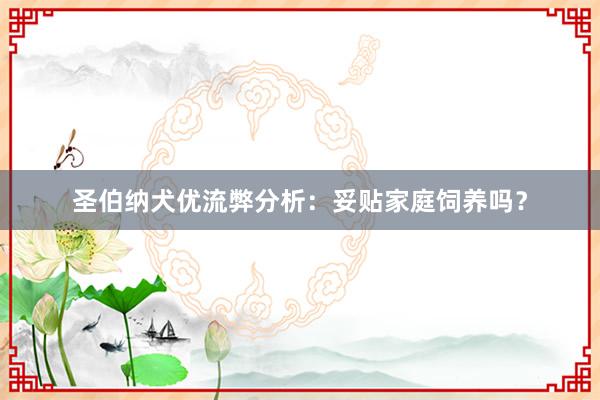 圣伯纳犬优流弊分析：妥贴家庭饲养吗？