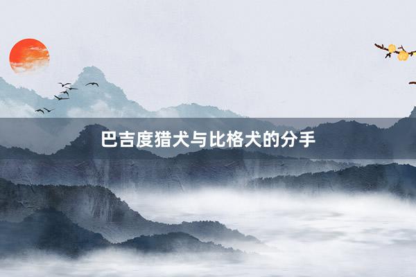 巴吉度猎犬与比格犬的分手